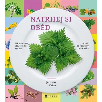 Kniha Natrhej si oběd - Jaroslav Vašák