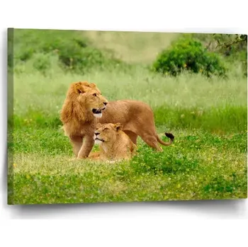 Obraz Sablio Obraz Lev a lvice - 60x40 cm