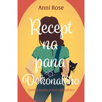 Kniha Recept na pana Dokonalého - Anni Rose