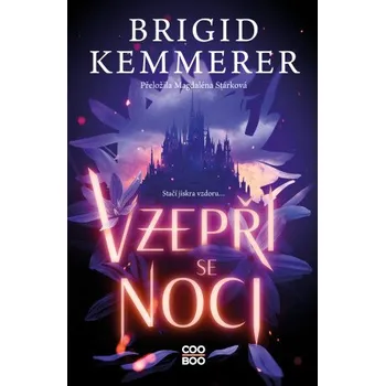 Kniha Vzepři se noci - Brigid Kemmererová