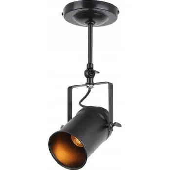 Závěsné svítidlo Reality 1-bodové, patice E27