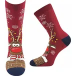 Vánoční froté ponožky Rudy - 27-34 / vínová