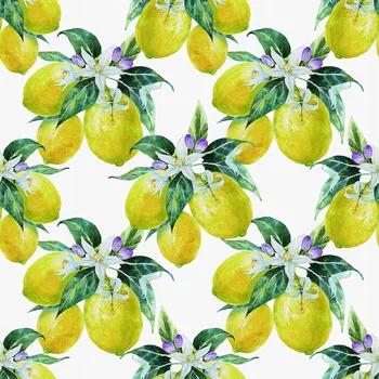 Fototapeta Tapeta Samolepicí Fototapeta Omyvatelná Voděodolná 60x300 Citrony