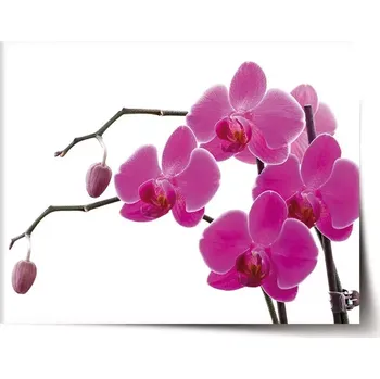 Plakát Sablio Plakát Fialové orchideje - 90x60 cm