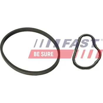 Vakuové čerpadlo Těsnění, vakuové čerpadlo FAST FT48943