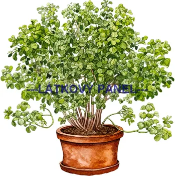 Látkový panel - Bylinky - BY-26 Velikost: 20x20cm, Materiál: Bavlna