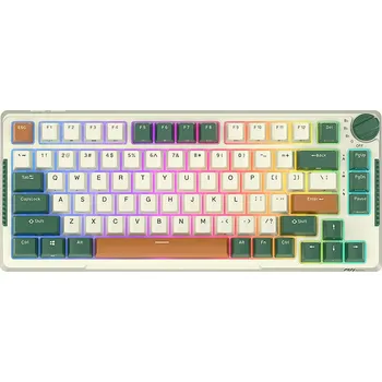 Klávesnice Bezdrátová mechanická klávesnice Royal Kludge RKH81 RGB / vyměnitelné spínače (zelené) (QWERTY)