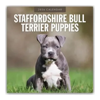 Diář Staffordshire Bull Terrier Puppies - Staffordshire Bullterrier Welpen 2026 - 16-Monatskalender (EN)