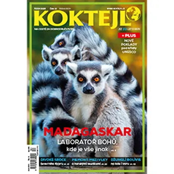 Koktejl – 1 rok + kniha Gurmet – Pečeme! – AKCE