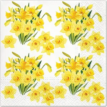 Papírový kapesník Paw Ubrousky PAW TETE L (20ks) 603126