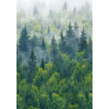 Tapeta Vliesová fototapeta na zeď, zelená, stromy, les, 96453, Naomi, Novamur