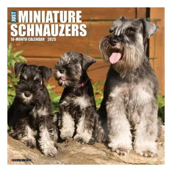 Kalendář Miniature Schnauzers 2026 12 X 12 Wall Calendar (Kalendář)