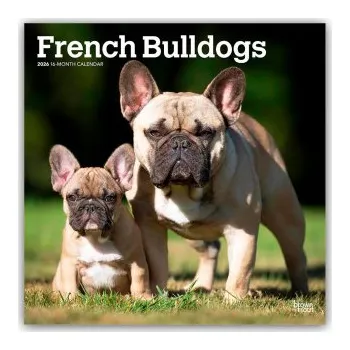 Diář French Bulldogs - Französische Bulldogge 2026 - 16-Monatskalender (DE)
