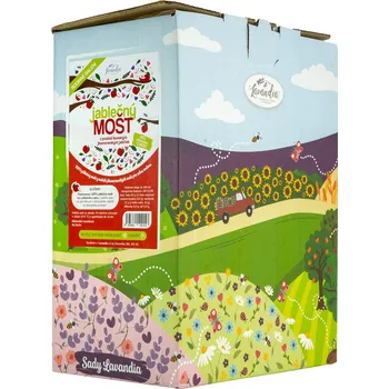 Jablečný mošt - Rodinné balení 5 l z poctivě lisovaných jihomoravských jablíček