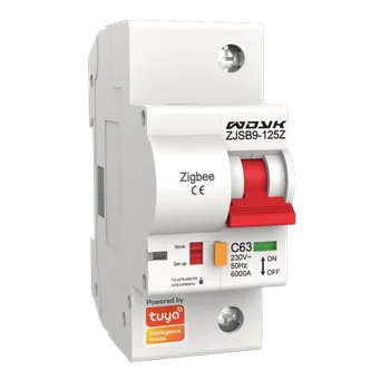 Jistič WDYK jednofázový jistič 1P 100A, Zigbee 3.0 WDYK1P100A