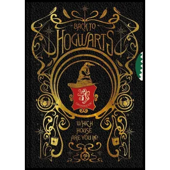 DVD film Harry Potter Zápisník - Spinner