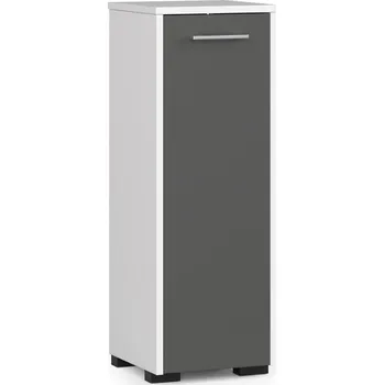 Koupelnový nábytek STOJÍCÍ SKŘÍŇKA KOUPELNA FIN S30 1D BÍLÁ / ŠEDÁ