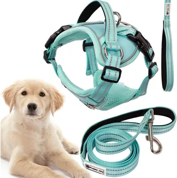 Vodítko pro psa Vodítko a postroj pro psa PJ-061 zelená L