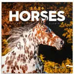 Notique Christiane Slawik nástěnný…