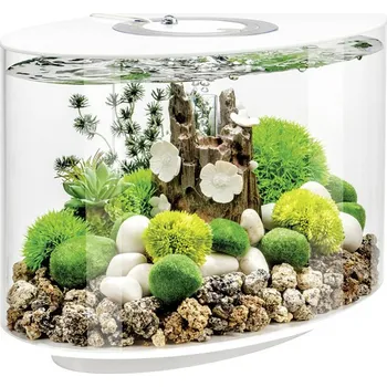 OASE biOrb 86414 biOrb LOOP 15 LED weiß akvárium Energetická třída (EEK2021): G (A - G) 15 l s LED osvětlením