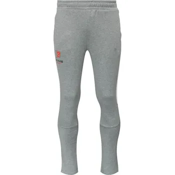 Pánské tepláky Puma TEAMEVOSTRIPE PANTS - BK KVIS PARDUBICE L Šedá, Červená