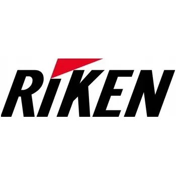 Celoroční osobní pneu Celoroční pneumatika Riken All Season 245/45 R18 100 Y s přilnavostí na sněhu (3PMSF), ochranný lem, zesílená (XL)