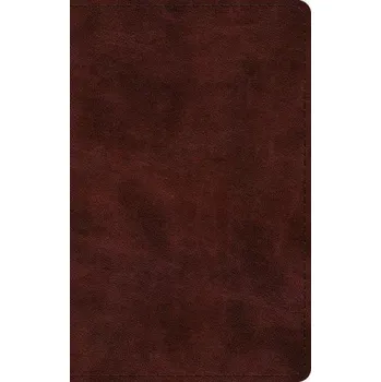 Populárně naučná literatura pro dospělé ESV Large Print Thinline Bible (ESV)(Pevná)