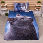 TP 3D povlečení 140x200 + 70x90 - Dark cat 200252846