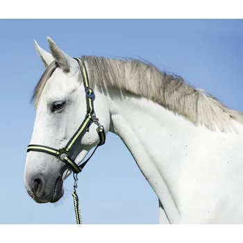 Covalliero Ohlávka HIPPO, zelená Barva: Zelená, Velikost: SHETTY