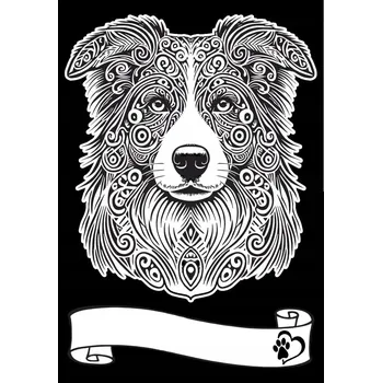 omalovánky Velurová omalovánka A4 Border kolie