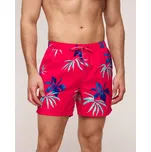 Pánské Koupací šortky Quiksilver Everyday Mix Volley 15 Aqyjv03147-rmc6