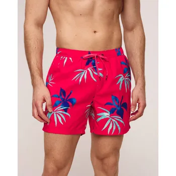 Pánské plavky Pánské Koupací šortky Quiksilver Everyday Mix Volley 15 Aqyjv03147-rmc6