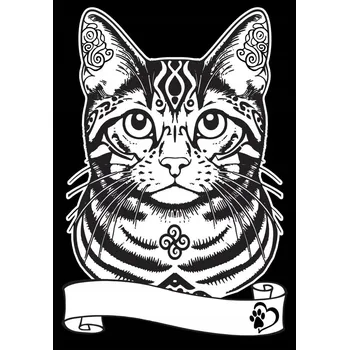 omalovánky Velurová omalovánka A4 - Evropská kočka