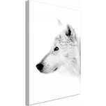 Obraz - Jantarový pohled vertikální - 40x60