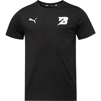 Pánské tričko Pánské triko Puma TEAMGOAL CASUALS TEE - BK PARDUBICE L Černá, Bílá