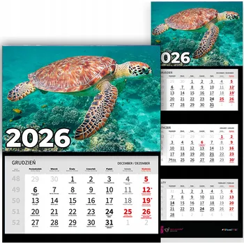 Kalendář Trojdílný nástěnný kalendář na rok 2026 - Želva mořská (různé vzory)