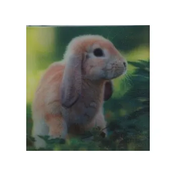 Dekorativní magnet Dlouhé uši - magnet (MCG15)