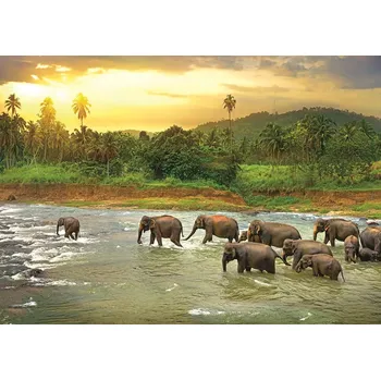 Puzzle Puzzle Save Our Planet: deštný prales 1000 dílků