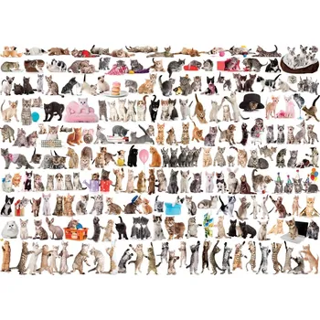 Puzzle Puzzle svět koček 1000 dílků EUROGRAPHICS