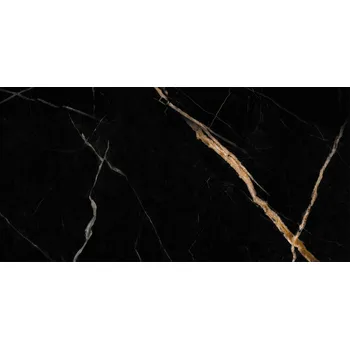 Obraz Obkladové panely na stěnu Vilo hladké černé 30x60 cm lesklé