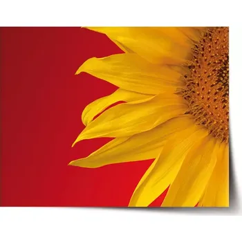 Plakát Sablio Plakát Slunečnice - 60x40 cm