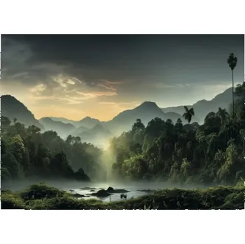 Obraz Obraz Decopanel Rainforset 136x98cm