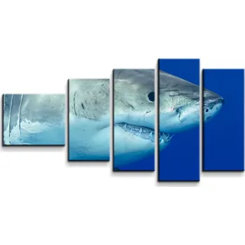Obraz Sablio Obraz - 5-dílný Žralok - 100x60 cm