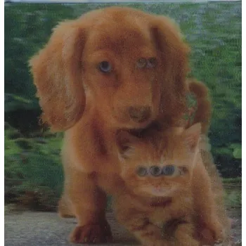 Dekorativní magnet Pejsek a kočička - magnet (MCG26)