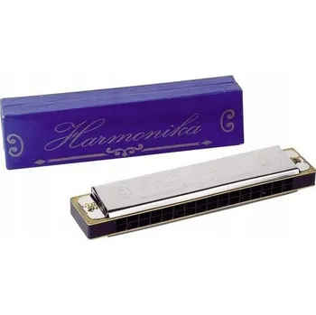 Obraz Goki Harmonica 41505