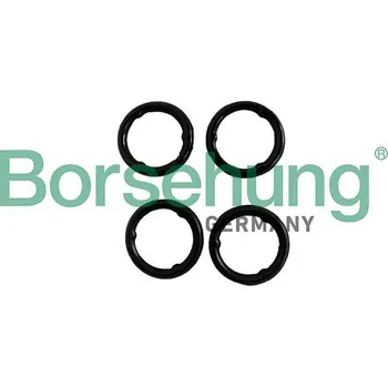 Autodíl Těsnění, chladič oleje Borsehung B13258