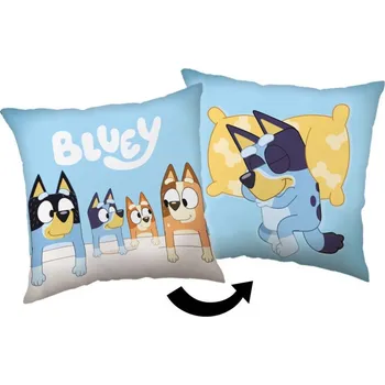 Dekorativní polštářek JERRY FABRICS Polštářek Bluey Polyester, 40/40 cm