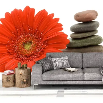 Tapeta Sablio Tapeta Gerbera s kameny - 125x75 cm