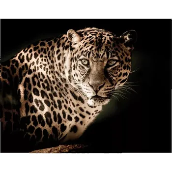 Plakát Sablio Plakát Levhart - 60x40 cm