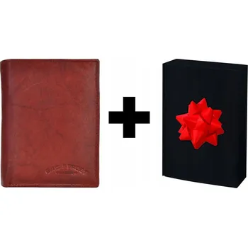 Peněženka MAHOŃ Pánská kožená peněženka svislá mládežnická Bag Street KLASICKÁ